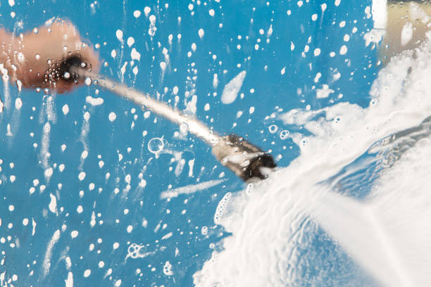 Animal Enclosure Cleaning in Temple Hills, MD